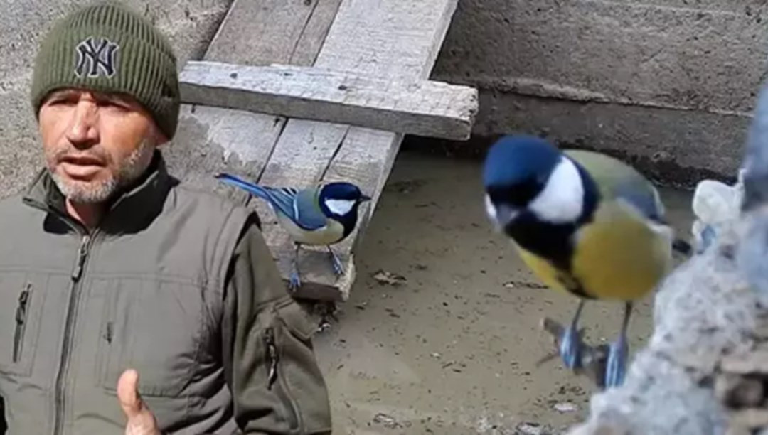 Torosların kuşları için varille su taşıyor: "Su bulamazlarsa bölgeyi terk ederler"