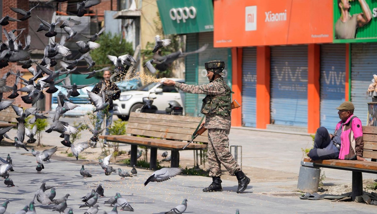 Hindistan'da güvercin beslemek yasaklandı