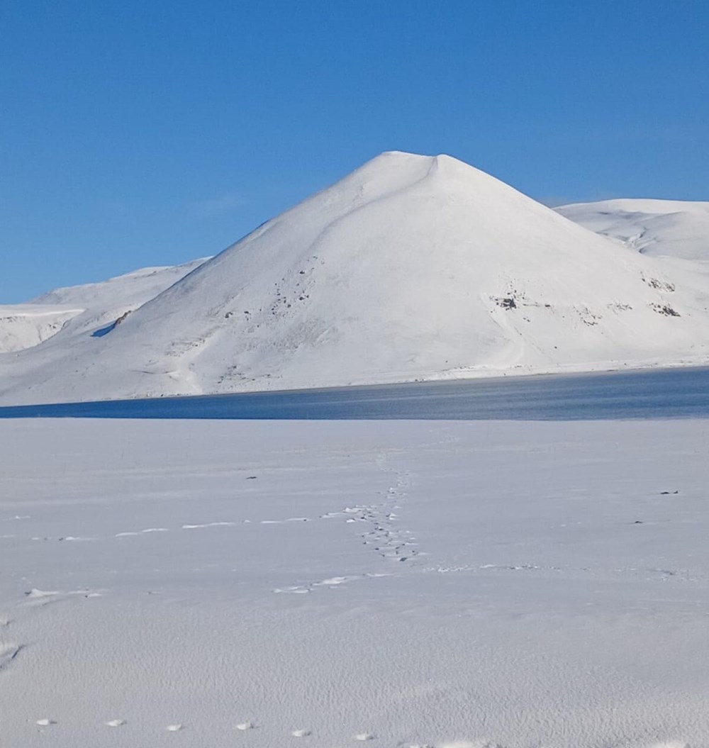 I8PqQBzhE 2SC0gMYPIsA