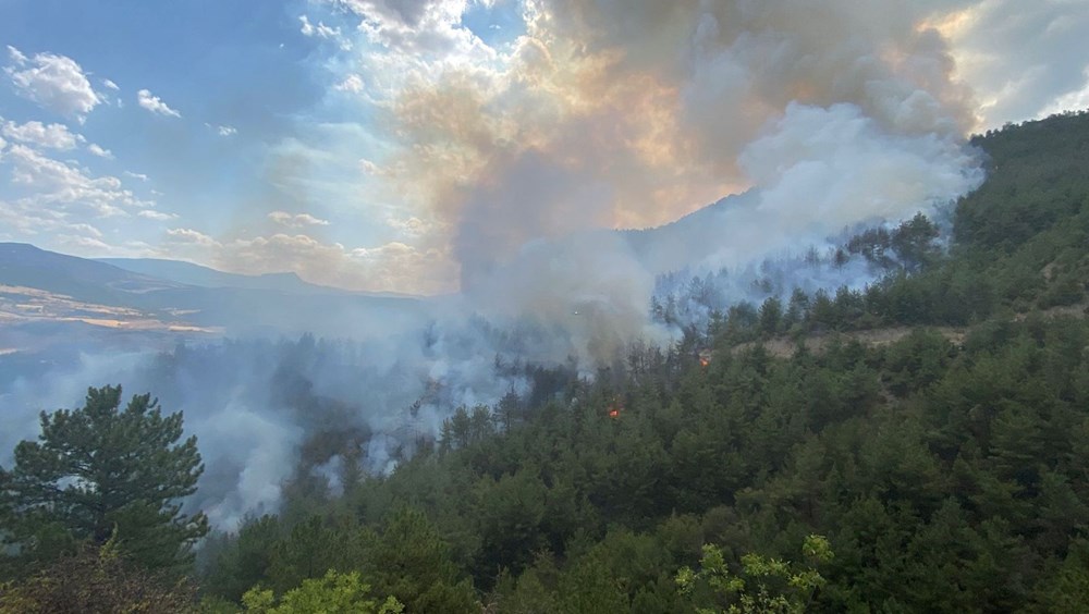 Karabük'te orman yangını: Bir köy boşaltıldı - 3