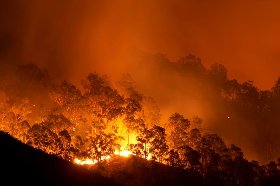 Avustralya yangından kaçarken sele yakalandı: Yanan alan 180 kat azaldı, büyük seller görüldü - 1