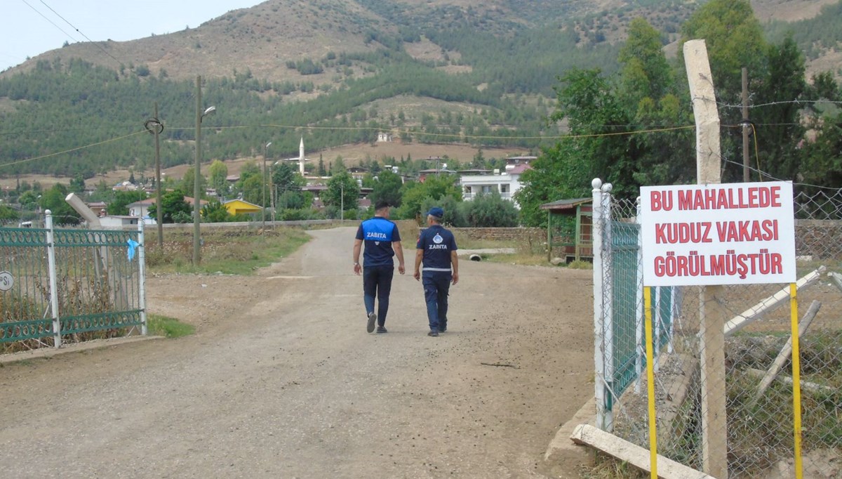 Gaziantep'te kuduz paniği: İki mahalle karantinada