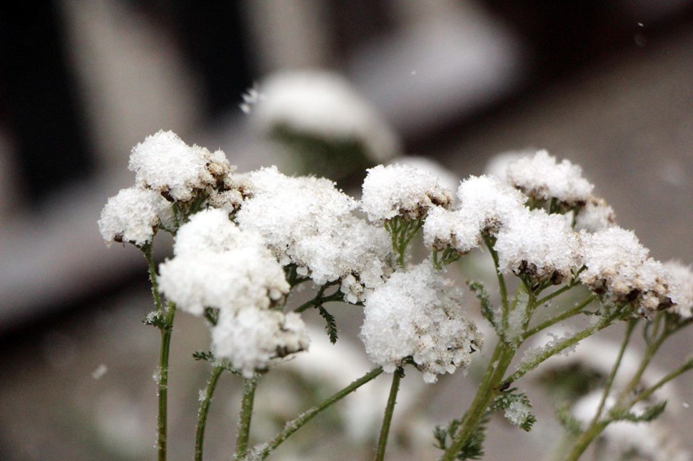 Yurttan manzaralar: Kar erken geldi - 12