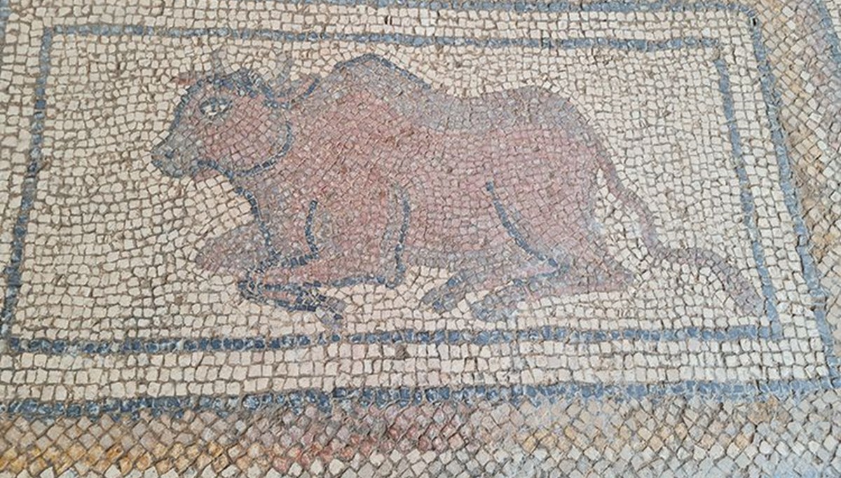 Osmaniye'de bulunan Roma dönemi mozaikleri gün yüzüne çıkarılıyor