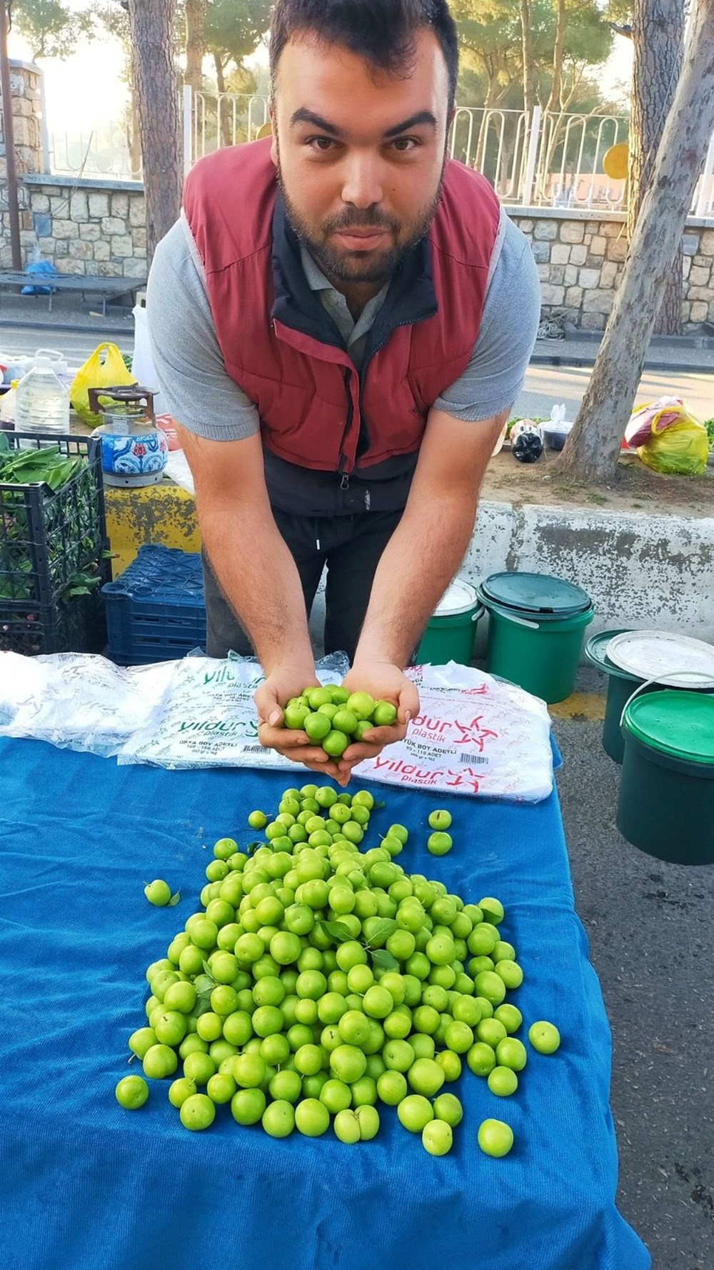 Bakır, potasyum, fosfor, demir deposu: Yazın gözdesi tezgahta 73