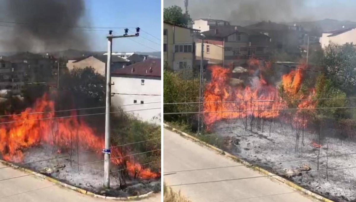 Yangın evleri tehdit etti