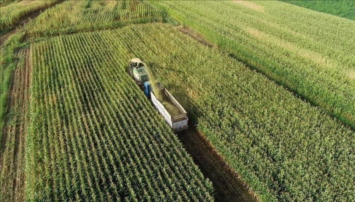 Mazot ve gübre desteği ödemeleri Mart 2025: Mazot ve gübre desteği yattı mı, ne zaman ödenecek? Çiftçinin gözü bakanlıkta