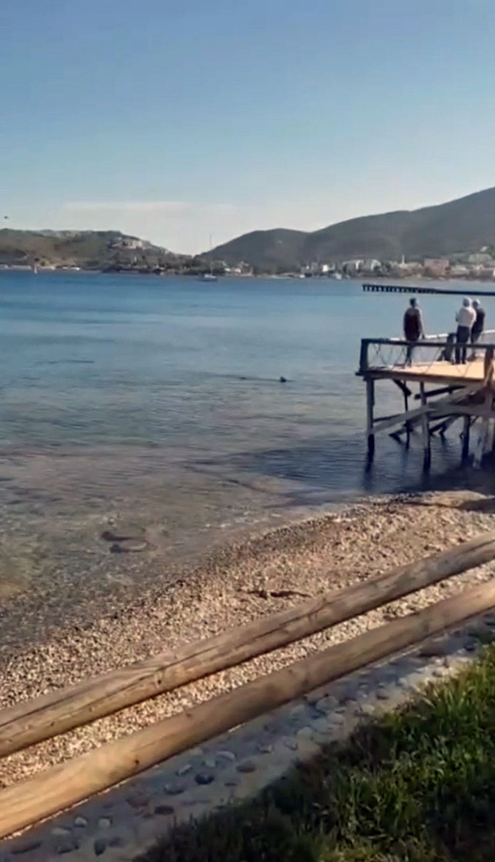 Evvel Antalya artık de Datça... Kıyılarda köpek balığı korkusu 72 Q6ffgw SEy5CpVduZ3w1w