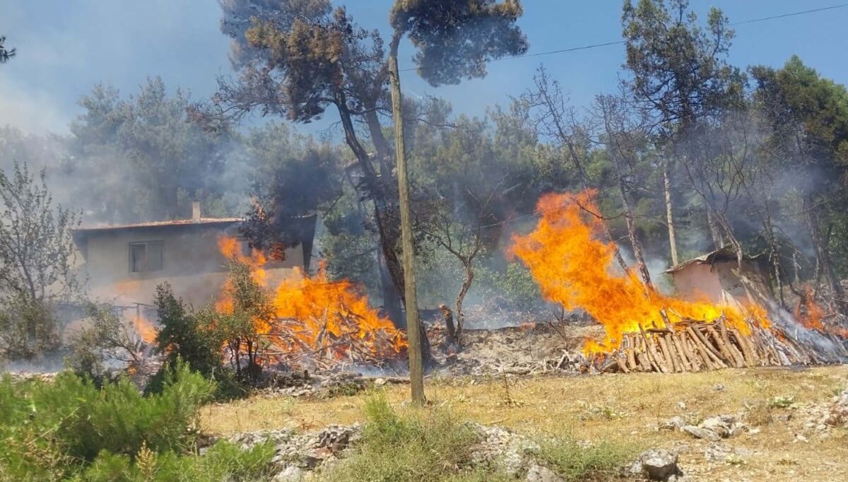 Balıkesir'de orman yangını