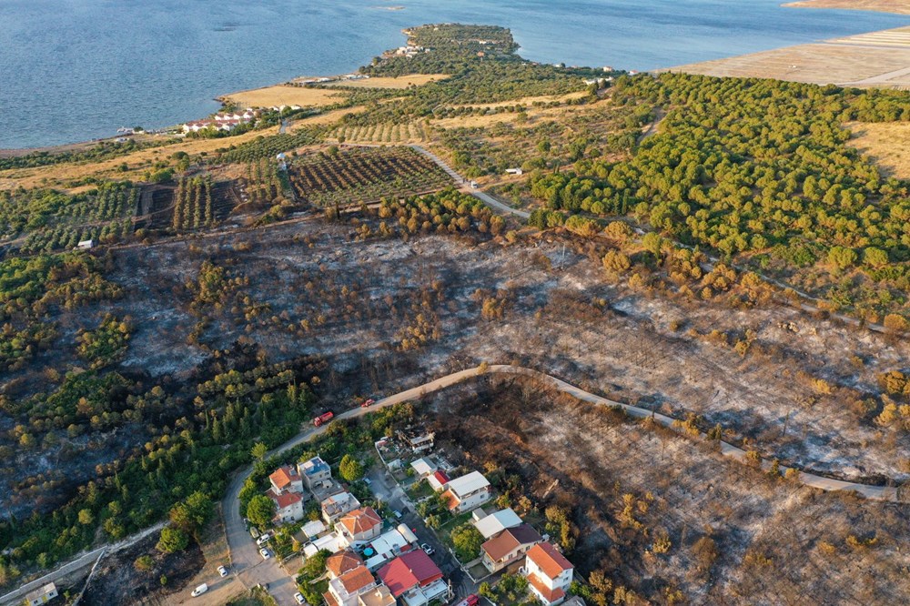 İzmir'de Aliağa ve Menderes'te orman yangını - 20