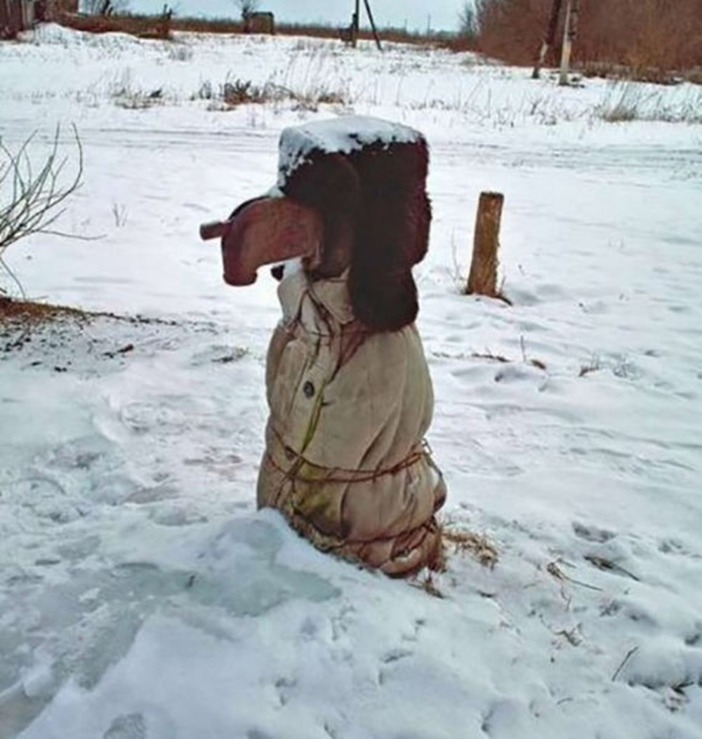 Собака в валенках