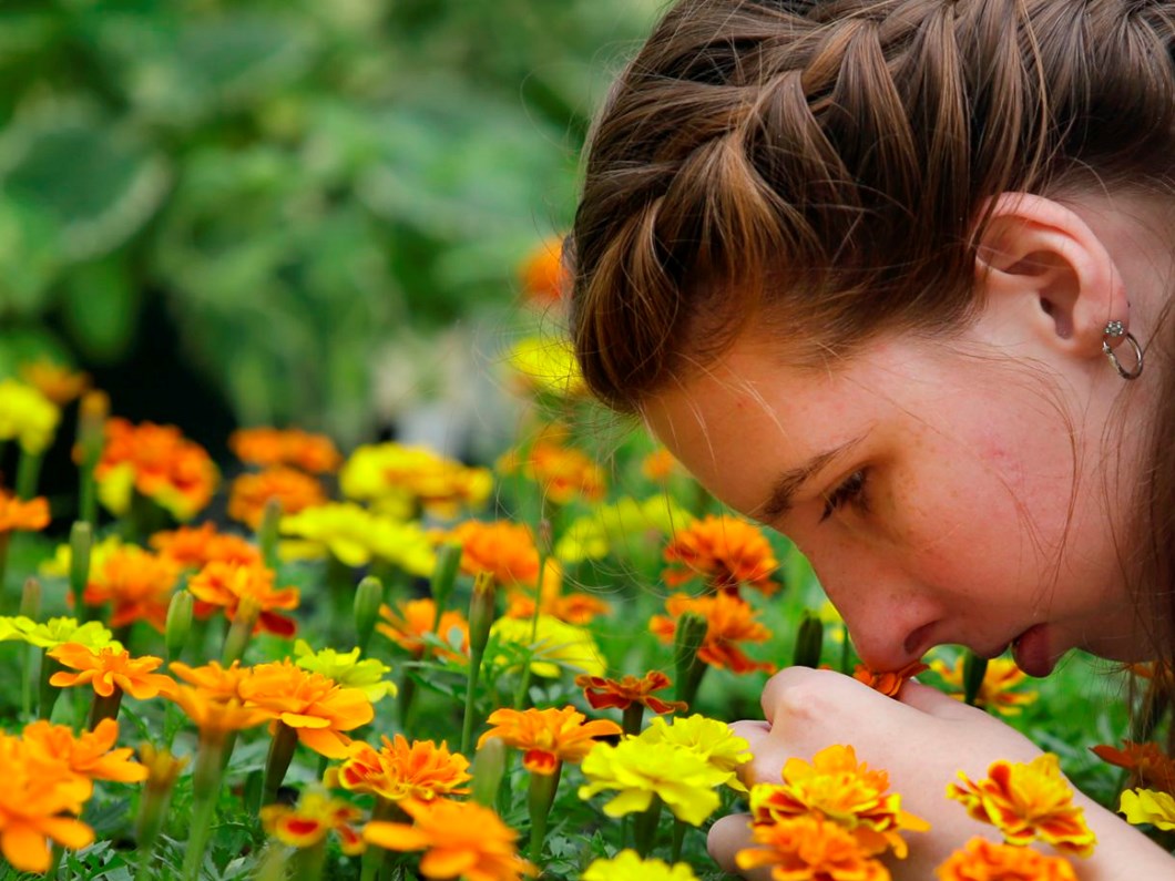 corona virus hastalarinda koku ve tat