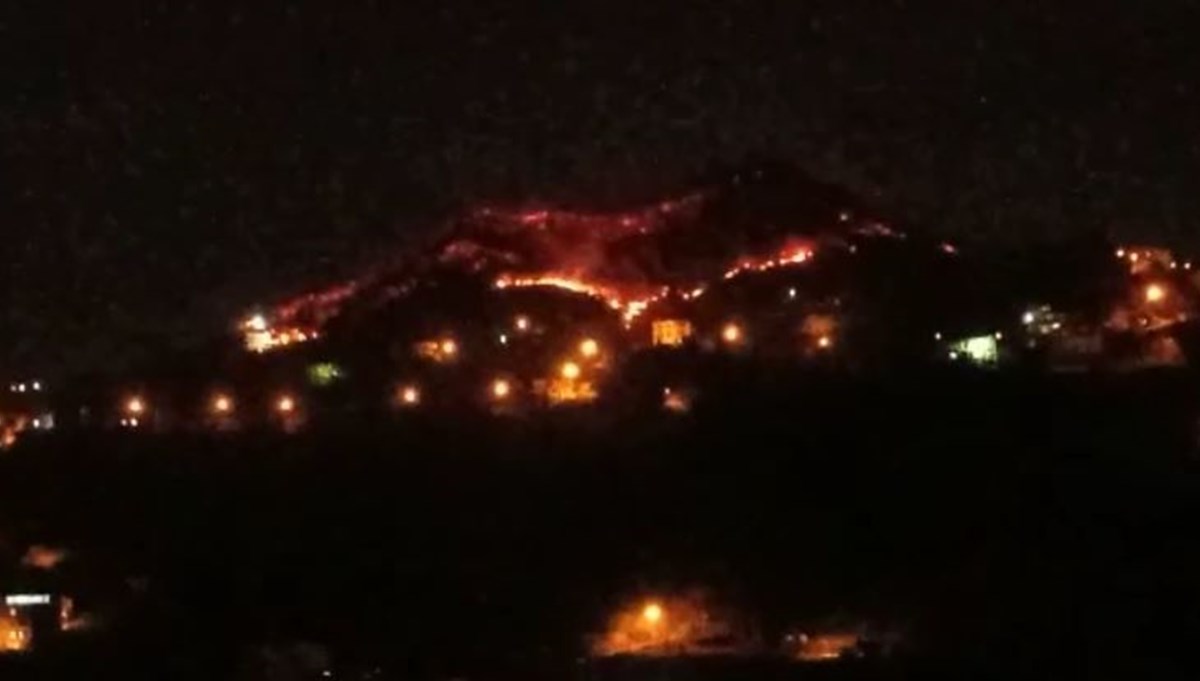 SON DAKİKA HABERİ: Trabzon'da orman yangını