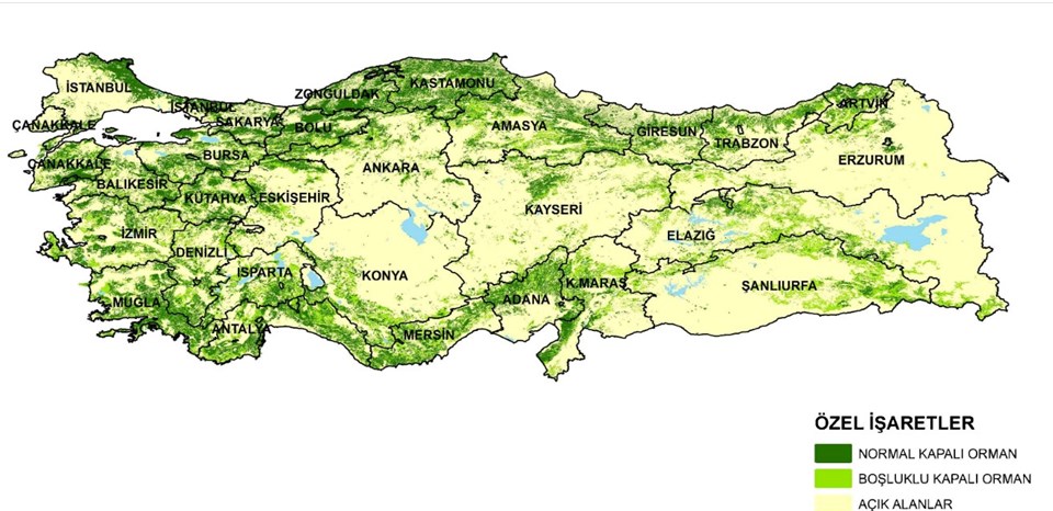 Türkiye'nin en yeşil kentleri açıklandı - 1