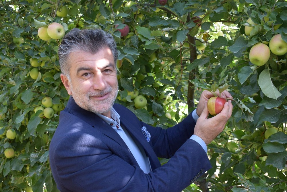 Sarı kırmızı elma ilgi odağı oldu: Hem iki rengi, hem de iki farklı tadı var - 2