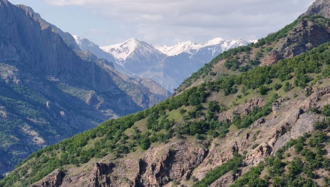 Mantar toplarken kaybolan kişi ölü bulundu