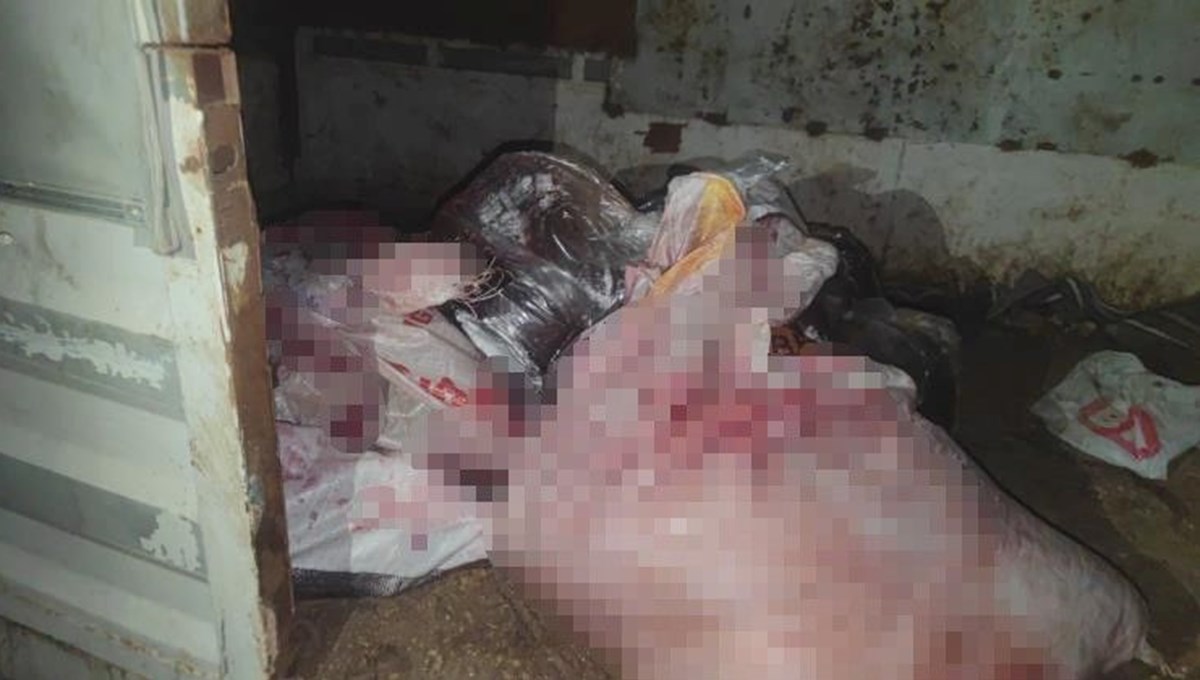 İstanbul'da at eti baskını: Kamyonette at eti ve sakatat, ahırda 3 at bulundu
