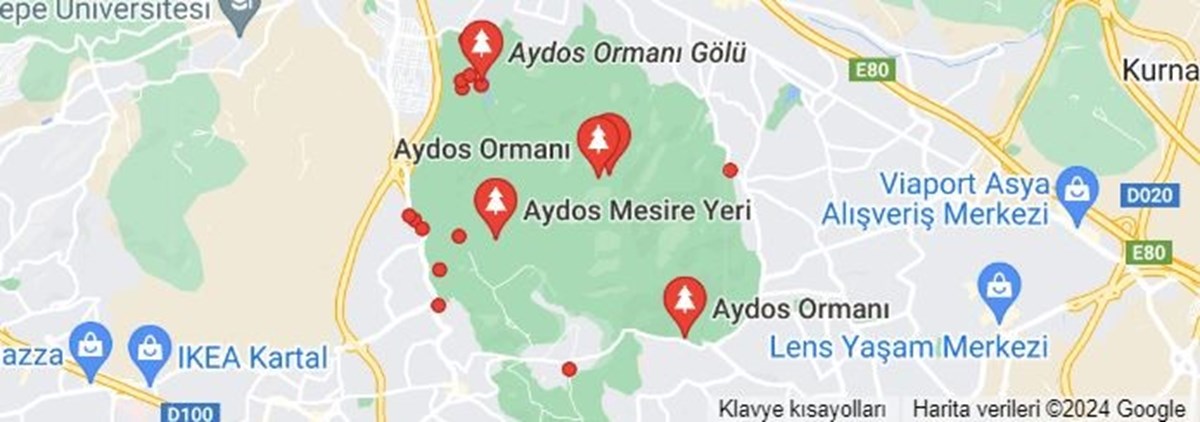 Aydos Ormanı nerede, hangi İstanbul ilçesinde? Aydos Ormanı'nın konumu