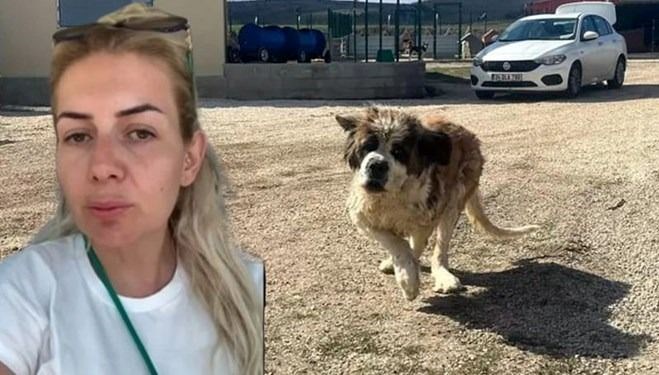 Kuduz köpek davasında karar