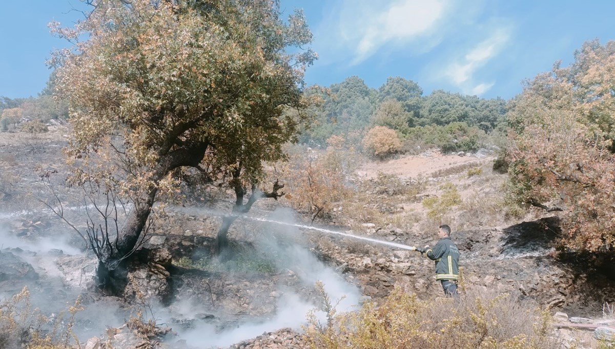 Alanya’da merada çıkan yangın kontrol altına alındı