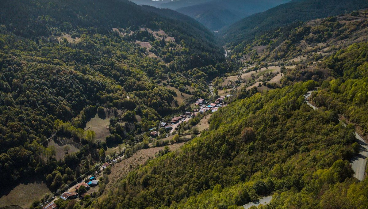 Ilgaz Dağı'nda sonbahar renkleri hakim olmaya başladı