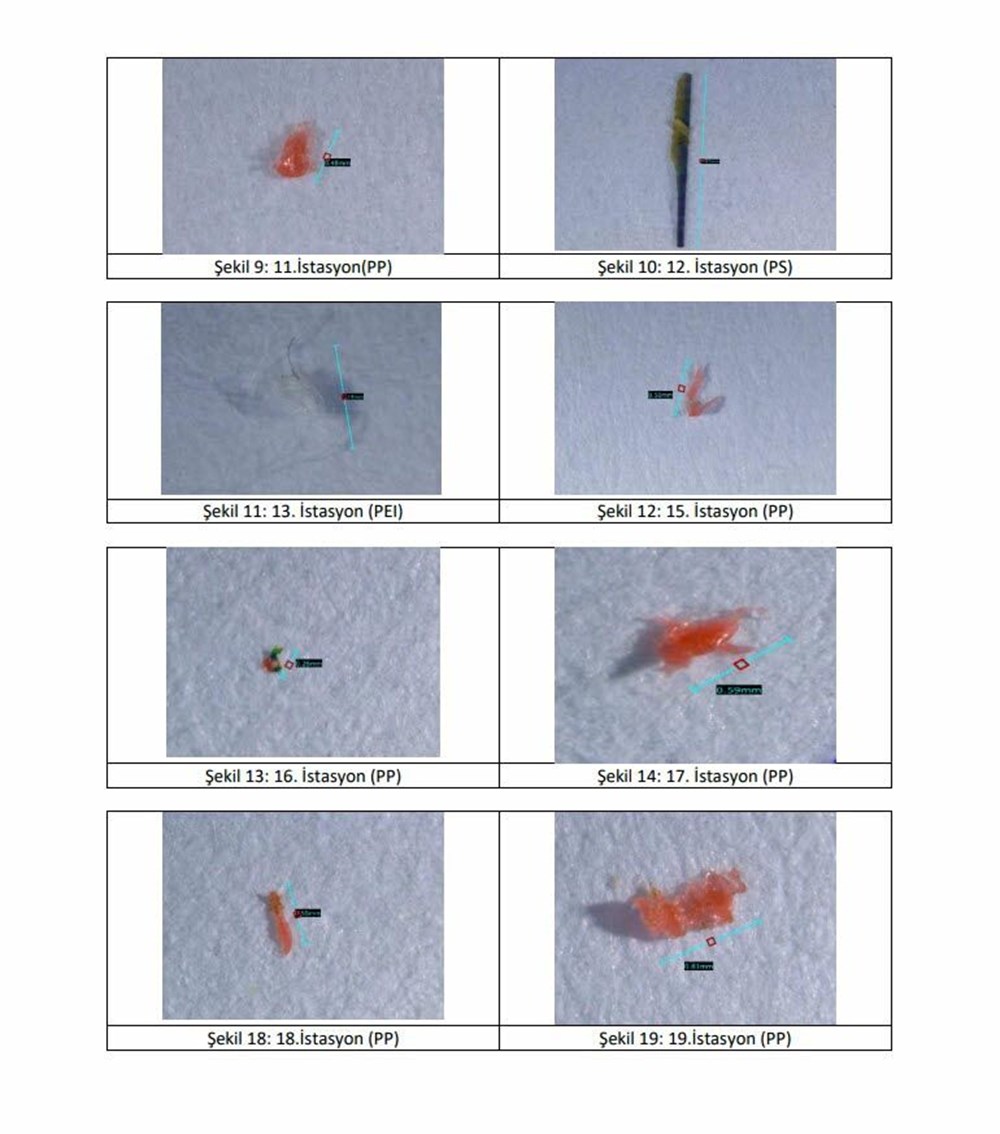 Ege Denizi'nde mikroplastik tehdidi - 6