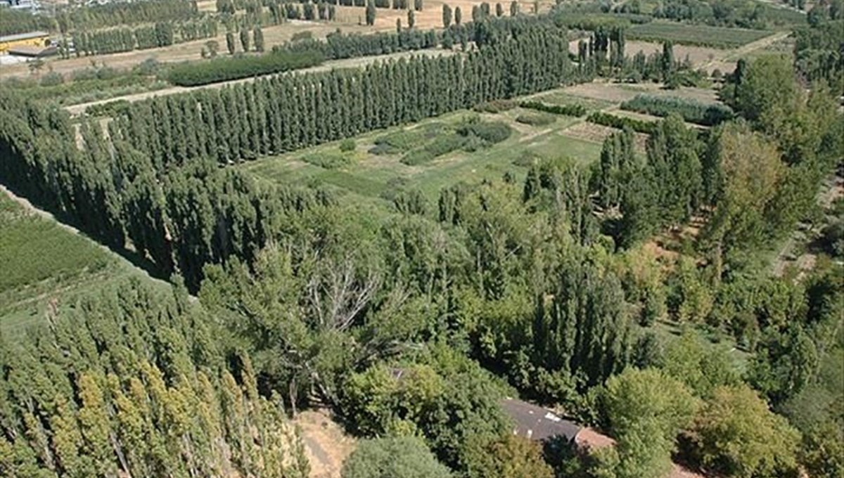 Atatürk Orman Çiftliği'nin park alanı kiralanacak Atatürk Orman Çiftliği'nin park alanı kiralanacak