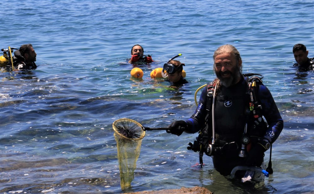 Akdeniz'de dikenli zehirli deniz kestanesi istilası - 7