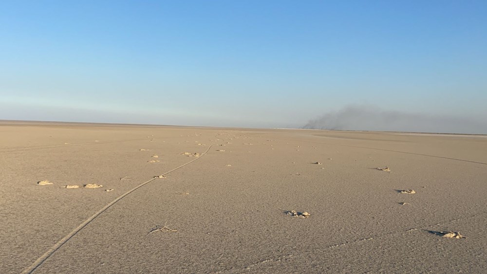 Tuz Gölü'nde toplu flamingo ölümleri: Soruşturma başlatıldı - 9