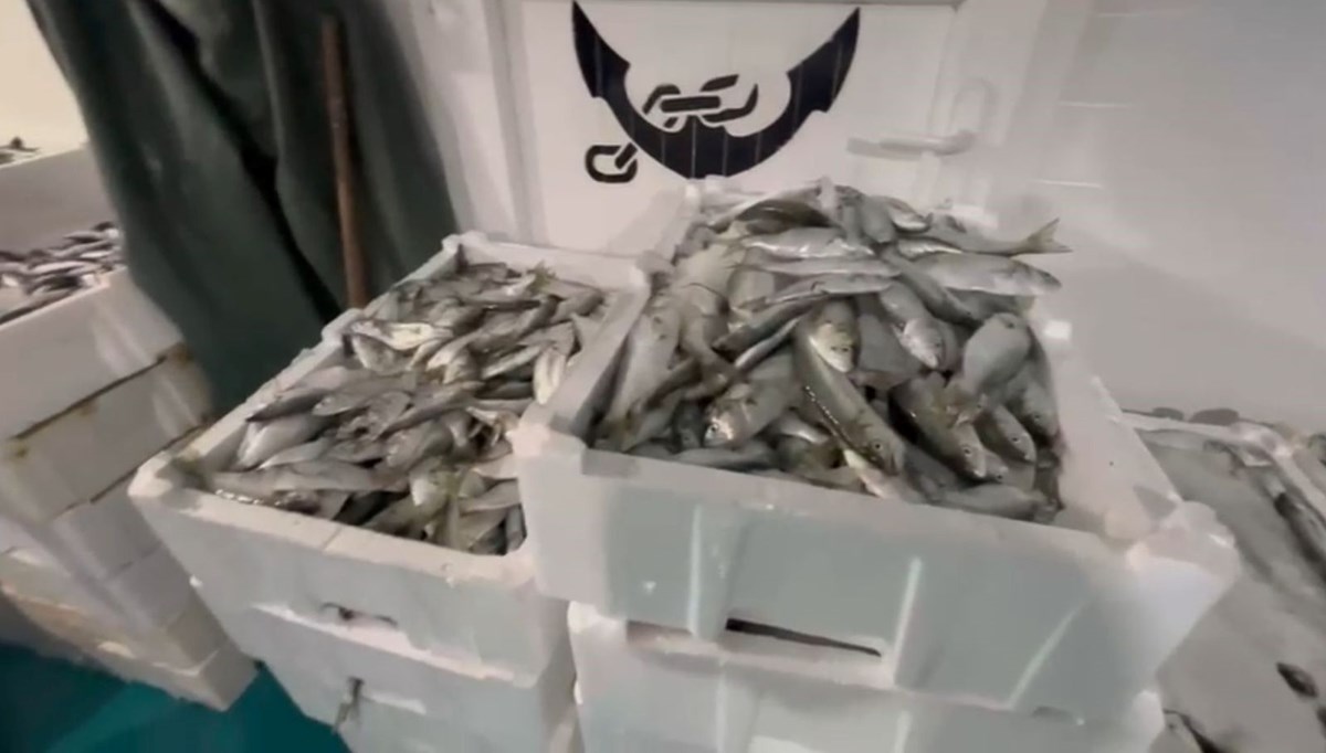 Kaçak lüfer avına binlerce lira ceza Kaçak lüfer avına binlerce lira ceza