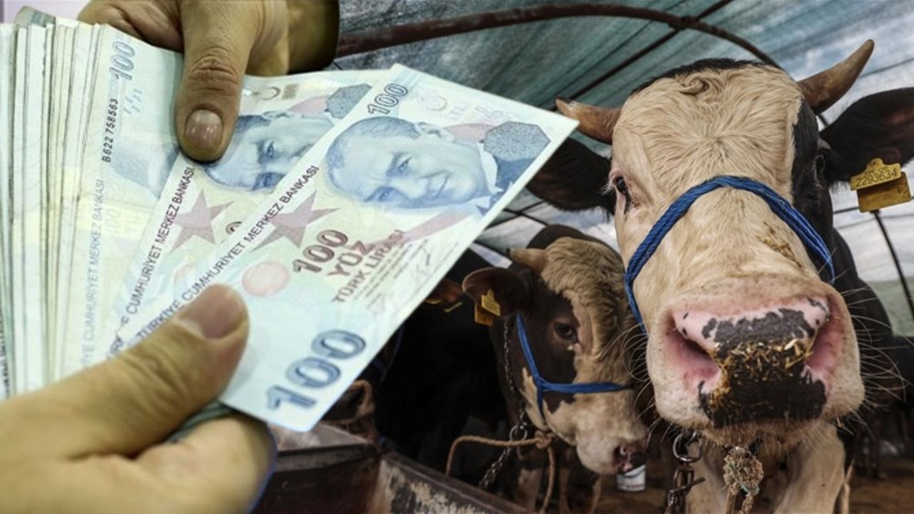 jF4QWt v0a0wZUPO86k8w