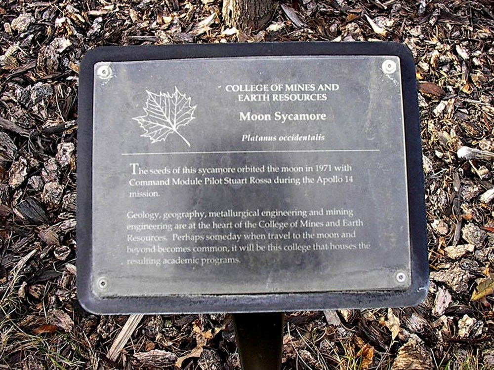 NASA has published a map of the Moon trees after 50 years - 5