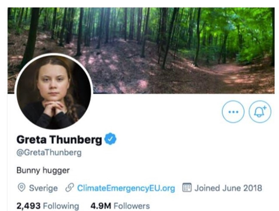 Greta Thunberg'den iklim zirvesi sonrası Twitter hamlesi - 1