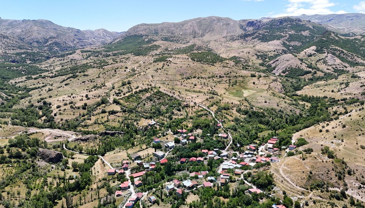 Bozkırın ortasında vahayı andırıyor: Yeşilliği ile dikkat çekiyor