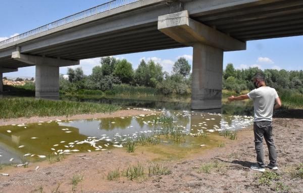 Akdağ, "İlgili numuneleri Ankara'da Etlik Veteriner Araştırma Enstitüsü Müdürlüğü'ne gönderdik ve herhangi bir zehirlenme belirtisi olmadığı ortaya çıktı. Keza su numunesini de yine Çevre ve Şehircilik İl Müdürlüğü'müz, DSİ vasıtasıyla inceledi, onda da olumsuz sonuç gözlenmedi" diye konuştu.
