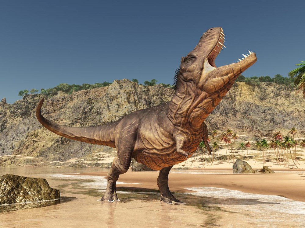 76 milyon yıl önce yaşayan yeni bir dinozor türü keşfedildi: T. rex'in atası bulundu mu? - 6