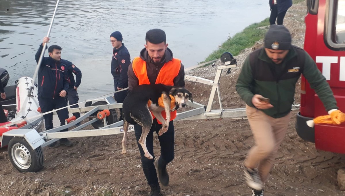 Kızılırmak'ta mahsur kalan köpek kurtarıldı Kızılırmak'ta mahsur kalan köpek kurtarıldı