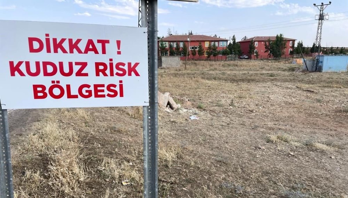 Şanlıurfa’da kuduz paniği: 2 mahalle karantinada