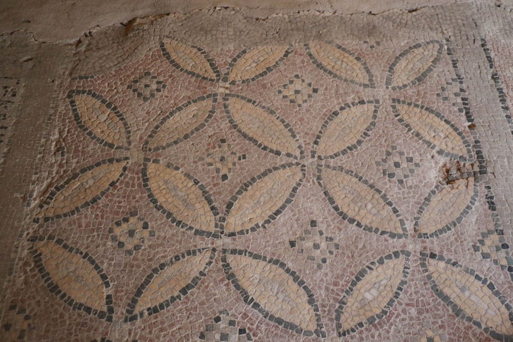Balatlar Kazısı’nda, Zeugma'dakilere benzer mozaikler bulundu - 9