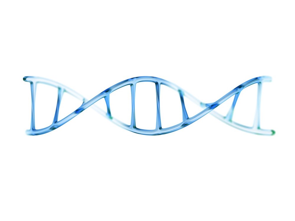 Ünlü Kızılderili lideri Oturan Boğa’nın torunu yeni bir DNA tekniği kullanılarak bulundu: Bizi hala baş belası olarak görüyorlar - 6