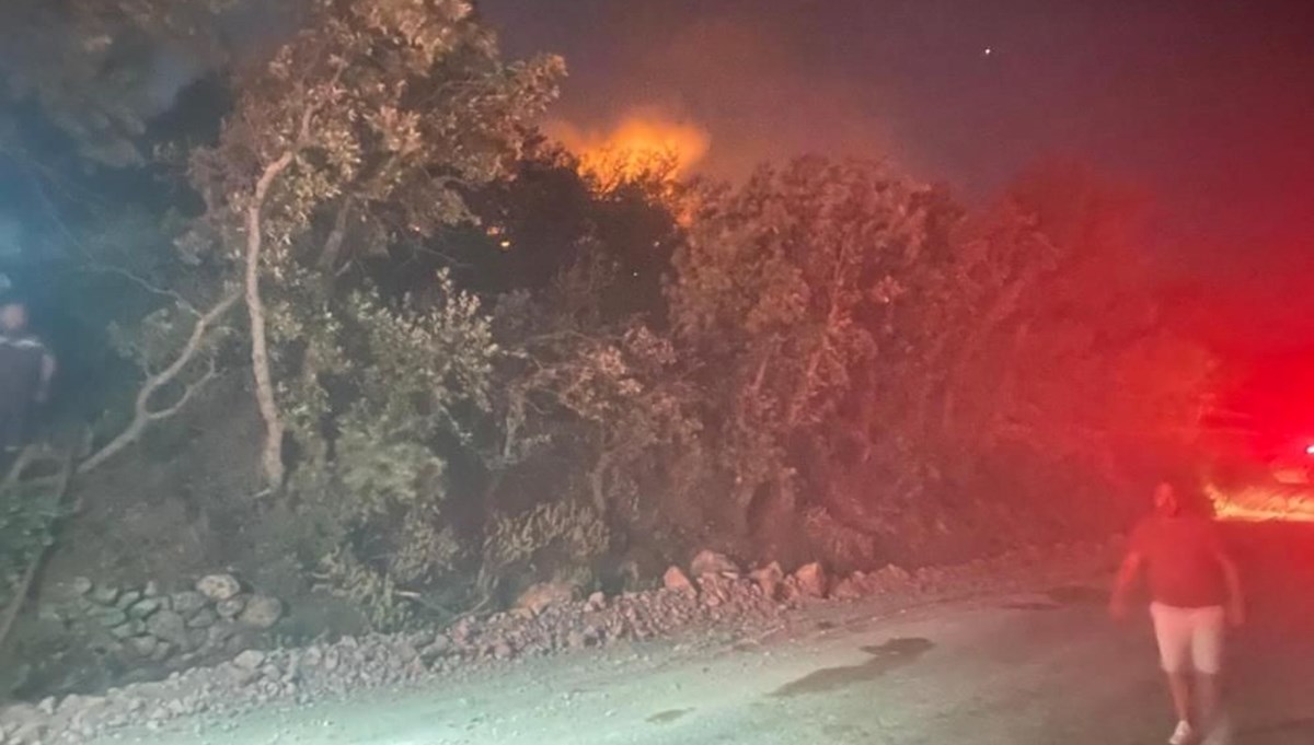 Çanakkale'nin Ayvacık ilçesinde orman yangını: Bir köy boşaltıldı