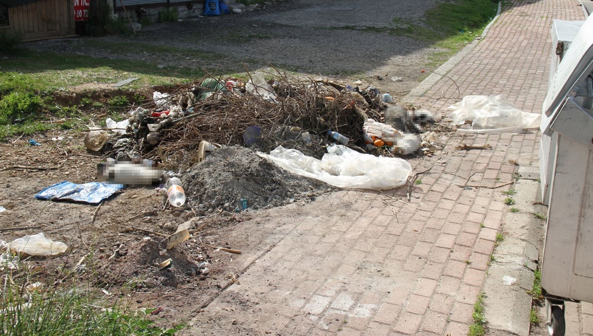 Antalya'da vahşet: 10 kedi ölü bulundu, inceleme başlatıldı Antalya'da vahşet: 10 kedi ölü bulundu, inceleme başlatıldı