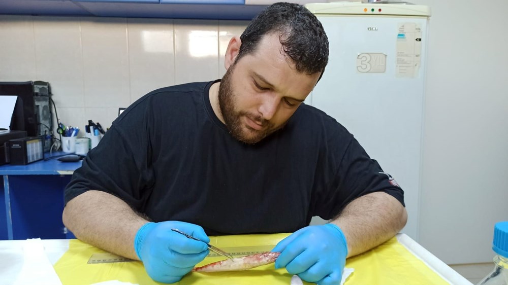 Akdeniz'de ilk kez görüldü:''Kızıl lokum''un genetik yapısı inceleniyor - 5