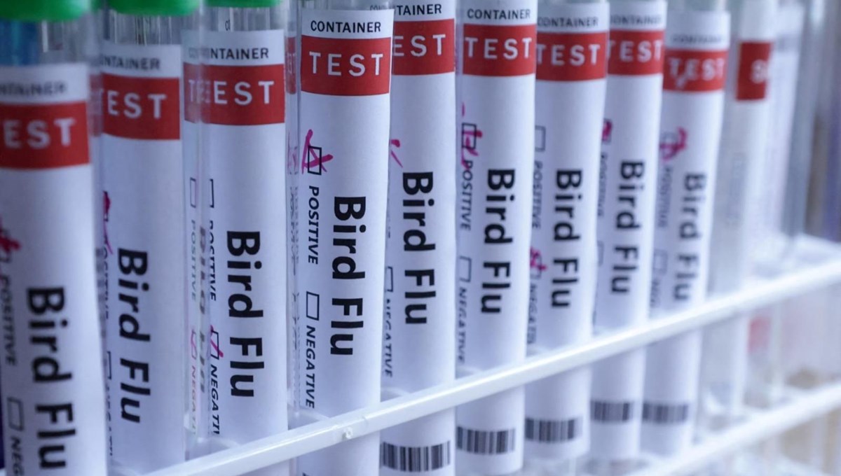 Meksika'da kuş gribi ölümü