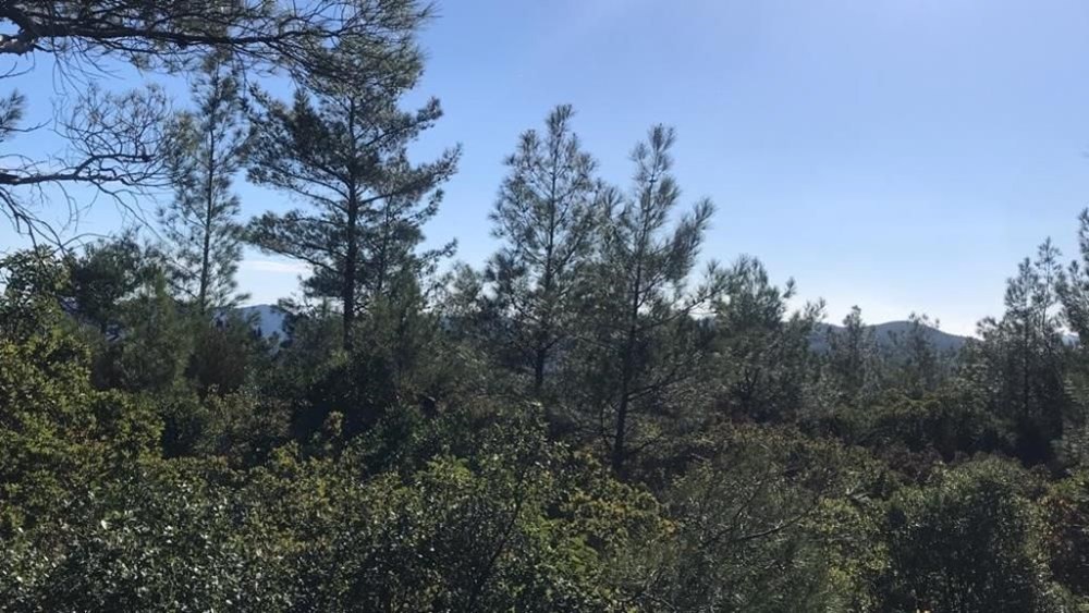 Marmaris’te kaybolan adamdan günler sonra ilk iz - 5