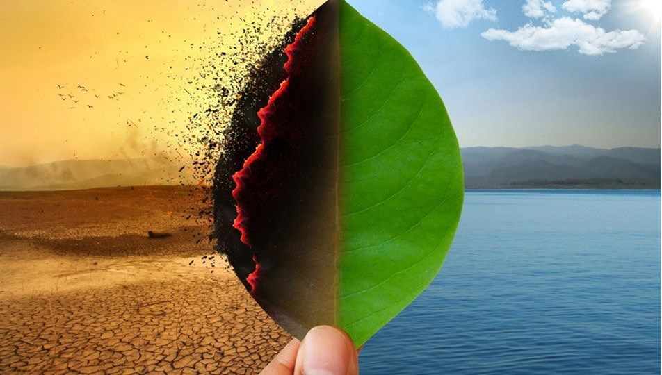 2030'a kadar en az 840 milyon kişi gıdasız kalabilir