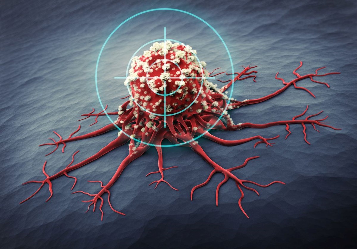 a1atNHcIcEm_bkd3IV-ySQ.jpg