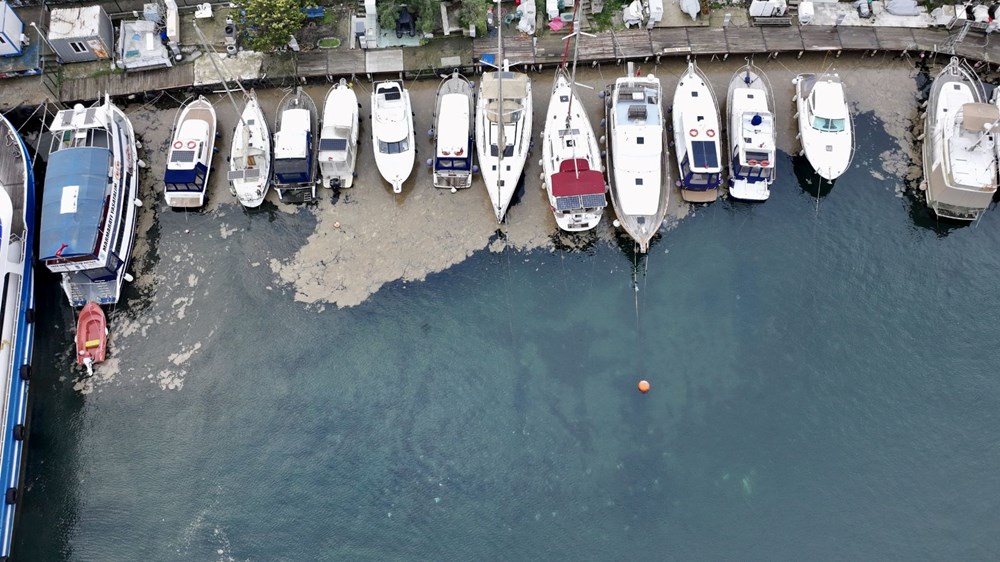 Uzmanlardan Marmara için korkutan uyarı: Karadeniz'den jet akıntısı geliyor, müsilajlar artabilir - 3