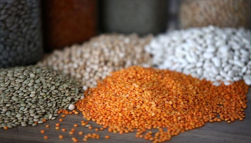 Hububat ve bakliyat ihracatı yüzde 4.2 arttı