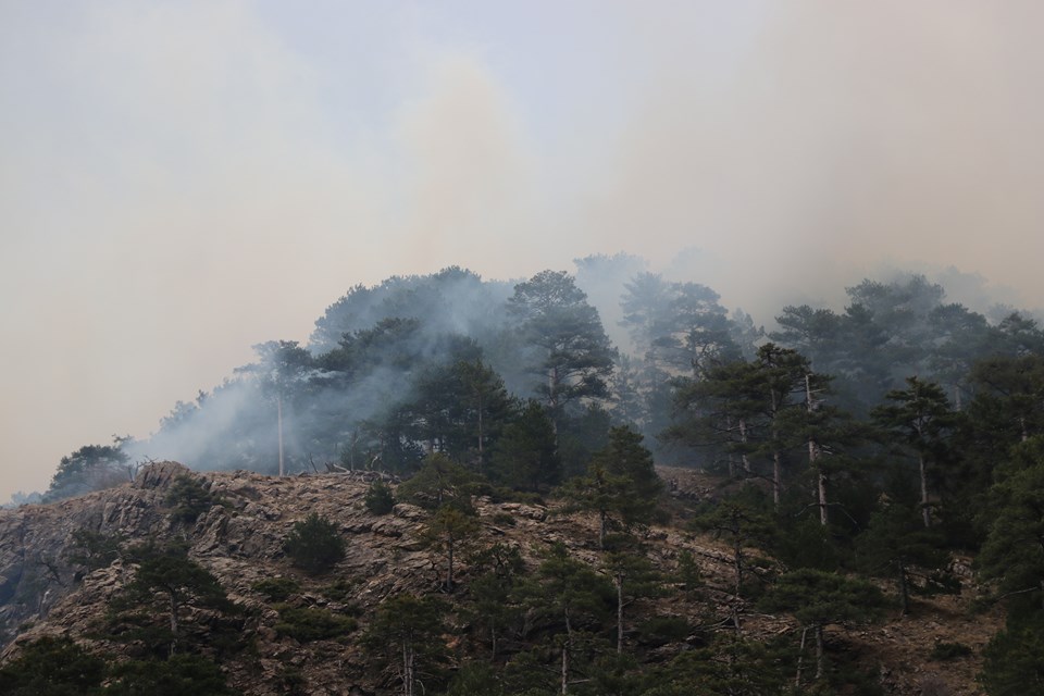 Denizli'de orman yangını - 1
